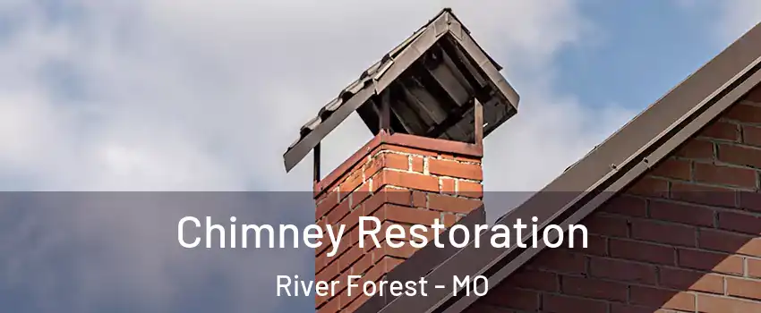 Chimney Restoration River Forest - MO