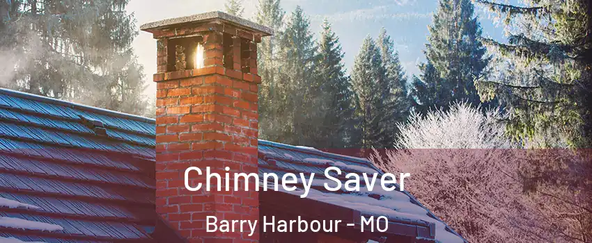 Chimney Saver Barry Harbour - MO