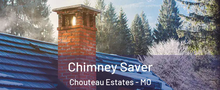 Chimney Saver Chouteau Estates - MO