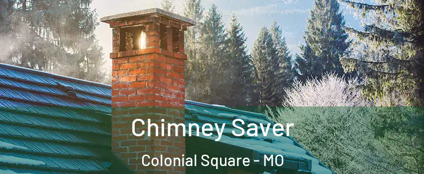 Chimney Saver Colonial Square - MO