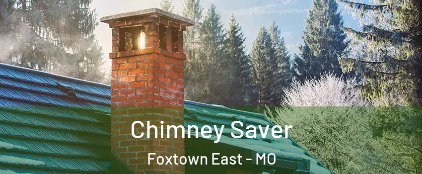 Chimney Saver Foxtown East - MO