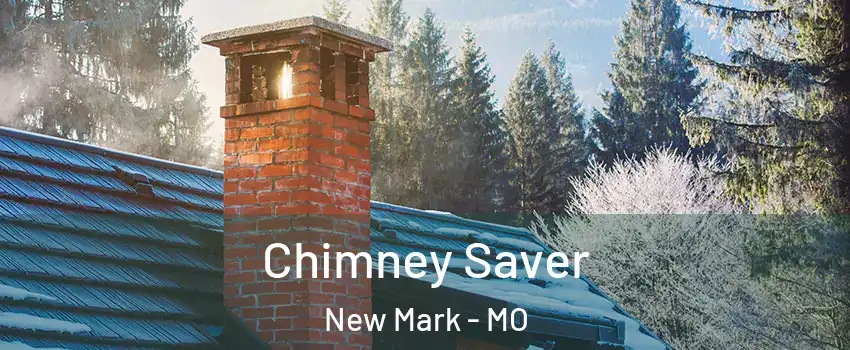 Chimney Saver New Mark - MO