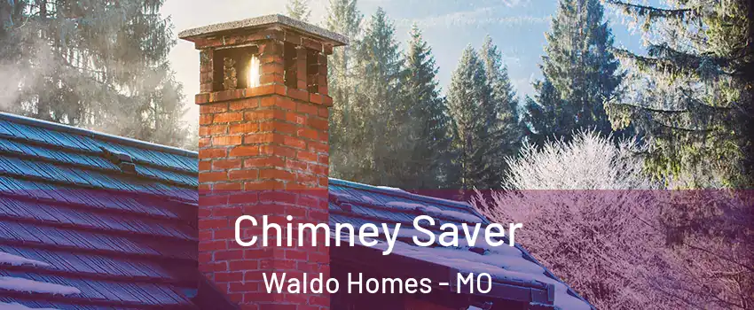 Chimney Saver Waldo Homes - MO