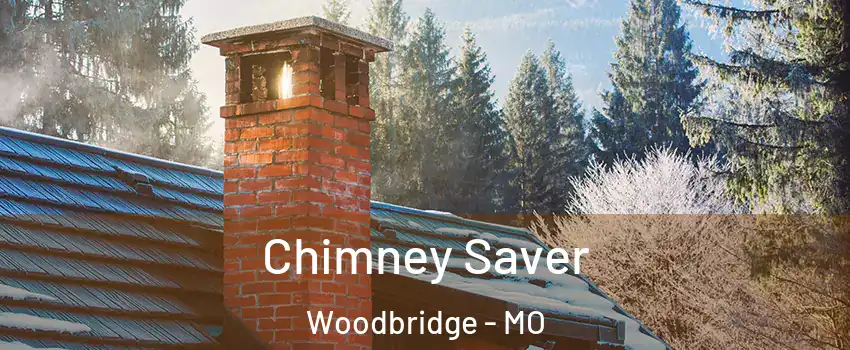 Chimney Saver Woodbridge - MO