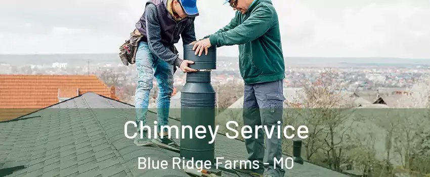 Chimney Service Blue Ridge Farms - MO