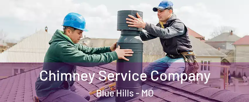Chimney Service Company Blue Hills - MO