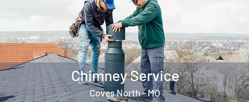 Chimney Service Coves North - MO
