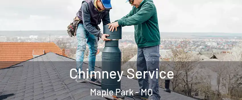 Chimney Service Maple Park - MO