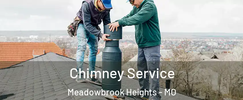 Chimney Service Meadowbrook Heights - MO