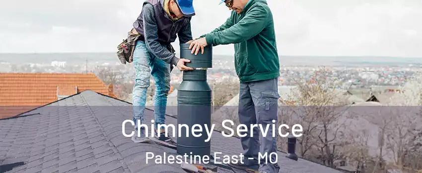Chimney Service Palestine East - MO