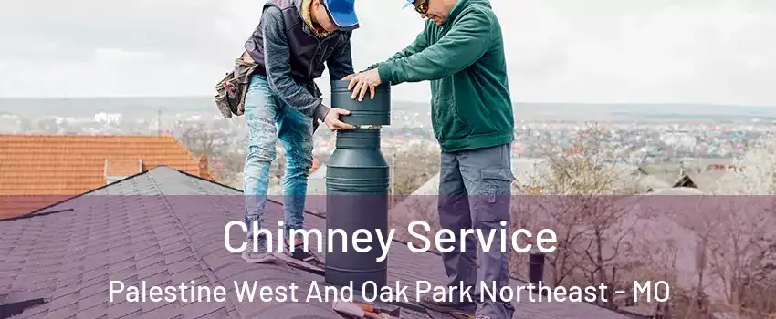 Chimney Service Palestine West And Oak Park Northeast - MO