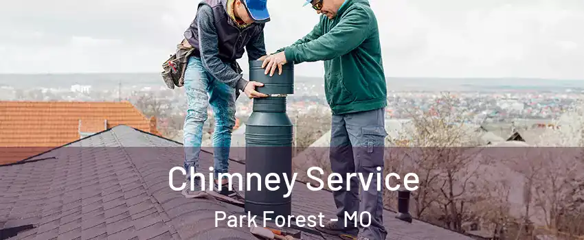 Chimney Service Park Forest - MO