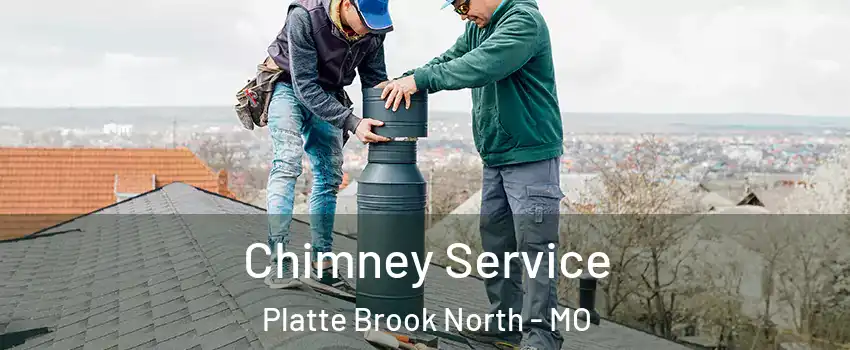 Chimney Service Platte Brook North - MO