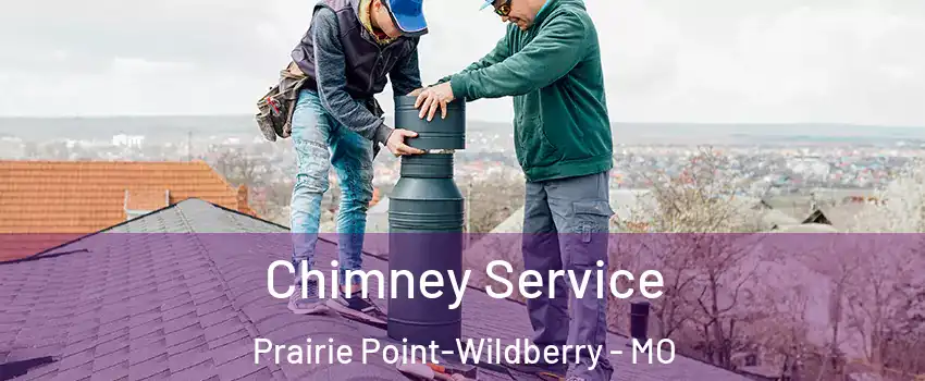 Chimney Service Prairie Point-Wildberry - MO