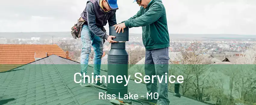 Chimney Service Riss Lake - MO