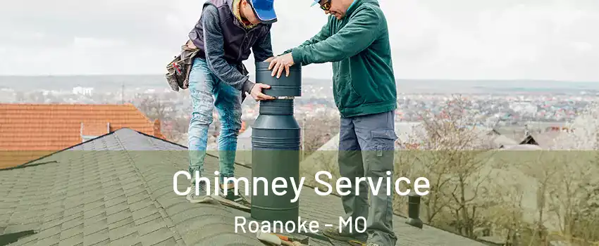 Chimney Service Roanoke - MO