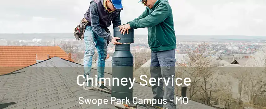 Chimney Service Swope Park Campus - MO