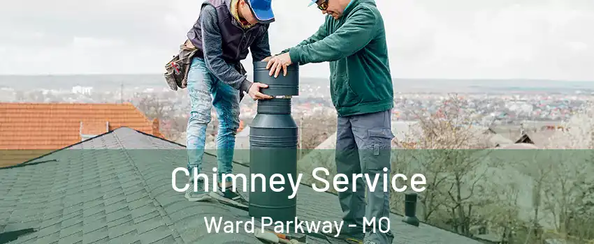 Chimney Service Ward Parkway - MO