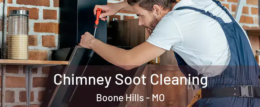 Chimney Soot Cleaning Boone Hills - MO