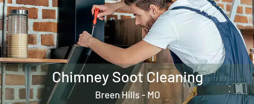 Chimney Soot Cleaning Breen Hills - MO