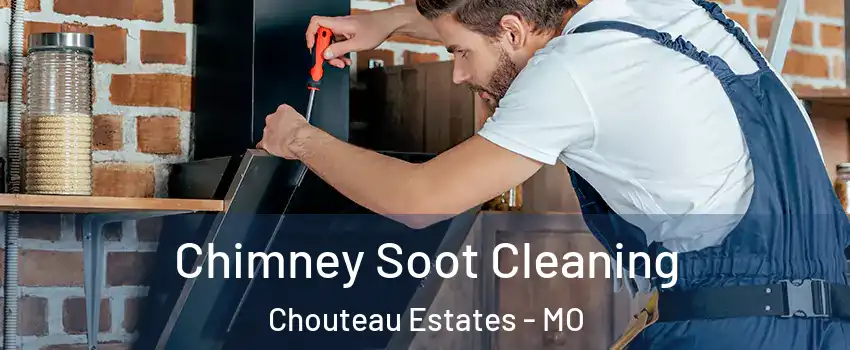 Chimney Soot Cleaning Chouteau Estates - MO