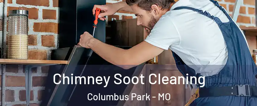 Chimney Soot Cleaning Columbus Park - MO