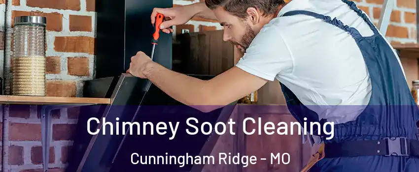 Chimney Soot Cleaning Cunningham Ridge - MO