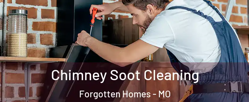 Chimney Soot Cleaning Forgotten Homes - MO