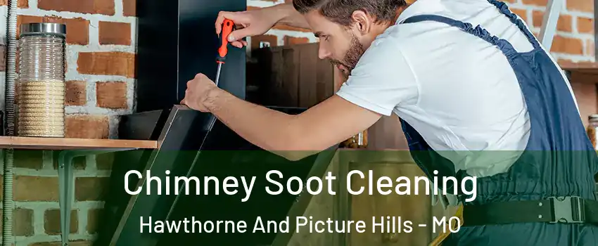 Chimney Soot Cleaning Hawthorne And Picture Hills - MO