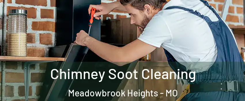 Chimney Soot Cleaning Meadowbrook Heights - MO