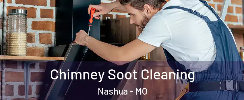 Chimney Soot Cleaning Nashua - MO