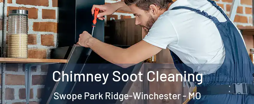 Chimney Soot Cleaning Swope Park Ridge-Winchester - MO
