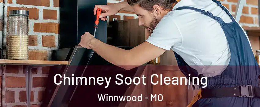 Chimney Soot Cleaning Winnwood - MO