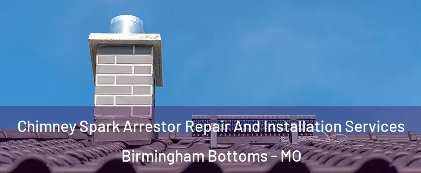 Chimney Spark Arrestor Repair And Installation Services Birmingham Bottoms - MO