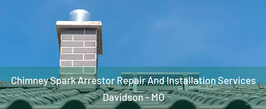 Chimney Spark Arrestor Repair And Installation Services Davidson - MO