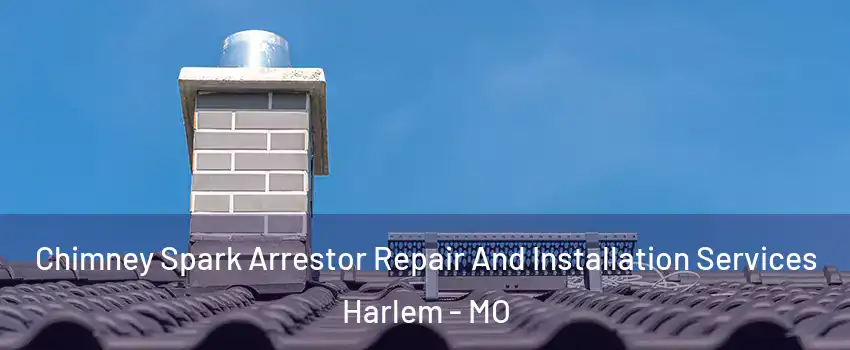Chimney Spark Arrestor Repair And Installation Services Harlem - MO