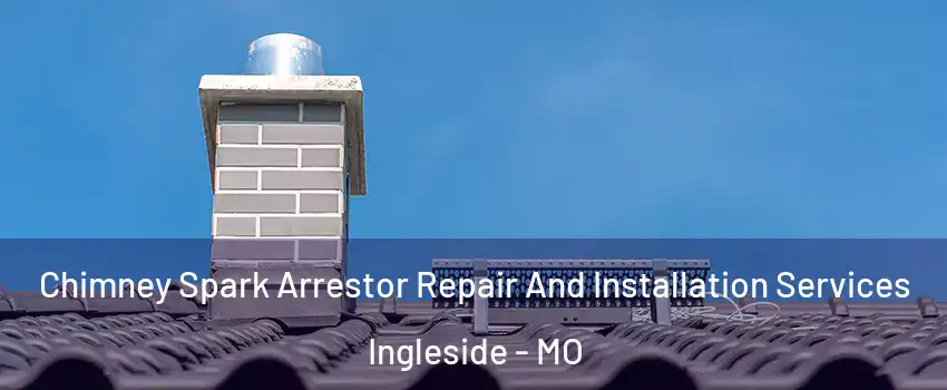 Chimney Spark Arrestor Repair And Installation Services Ingleside - MO