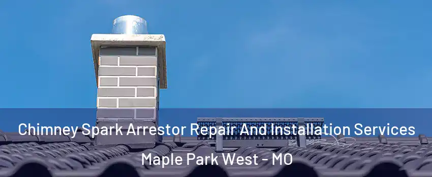 Chimney Spark Arrestor Repair And Installation Services Maple Park West - MO