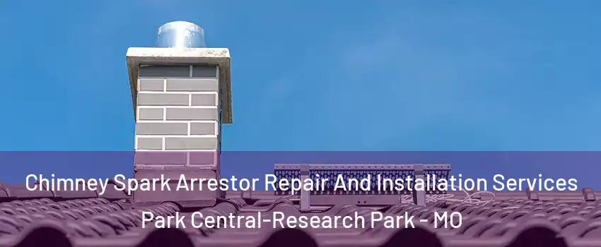 Chimney Spark Arrestor Repair And Installation Services Park Central-Research Park - MO
