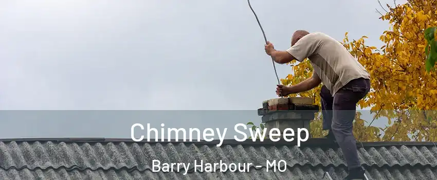 Chimney Sweep Barry Harbour - MO