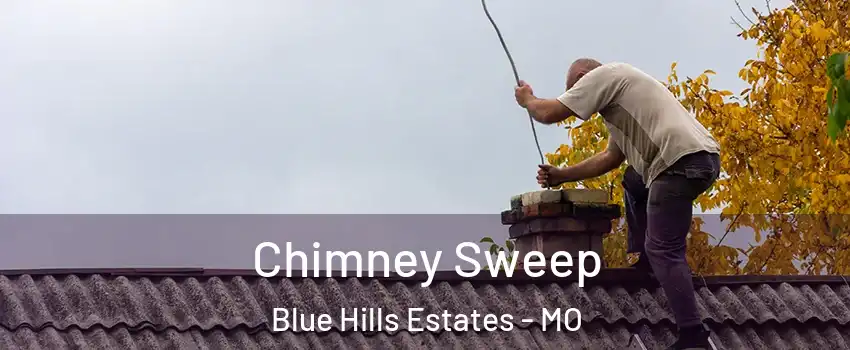 Chimney Sweep Blue Hills Estates - MO