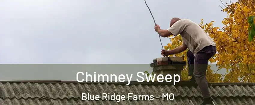 Chimney Sweep Blue Ridge Farms - MO