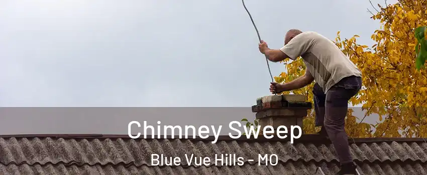 Chimney Sweep Blue Vue Hills - MO