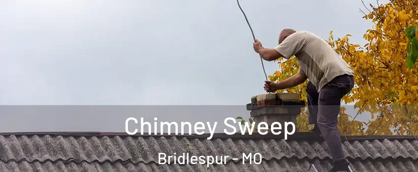 Chimney Sweep Bridlespur - MO