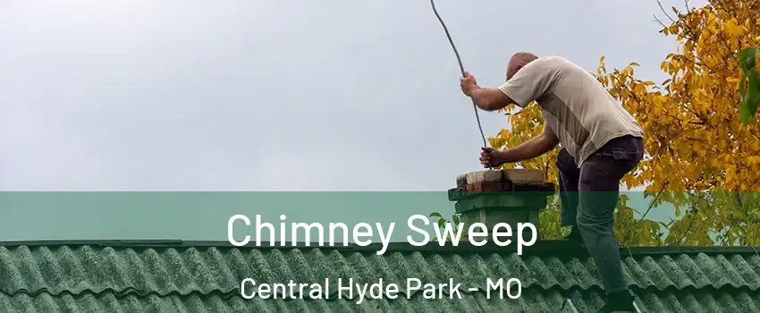 Chimney Sweep Central Hyde Park - MO