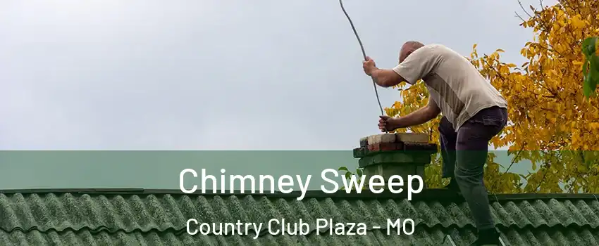 Chimney Sweep Country Club Plaza - MO