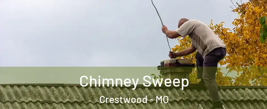 Chimney Sweep Crestwood - MO