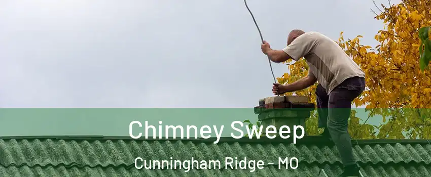 Chimney Sweep Cunningham Ridge - MO