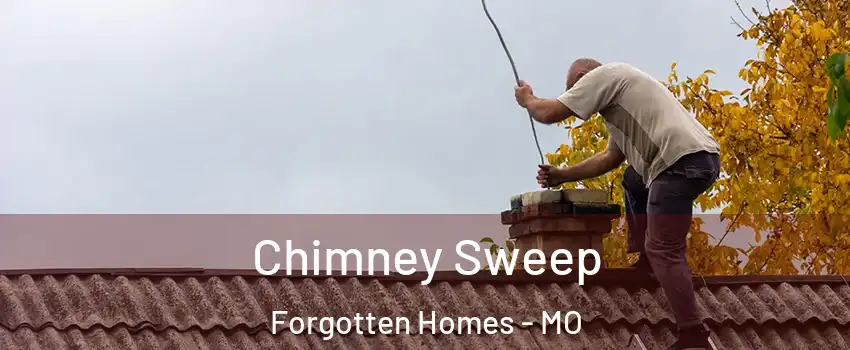Chimney Sweep Forgotten Homes - MO