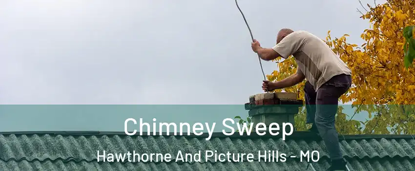 Chimney Sweep Hawthorne And Picture Hills - MO